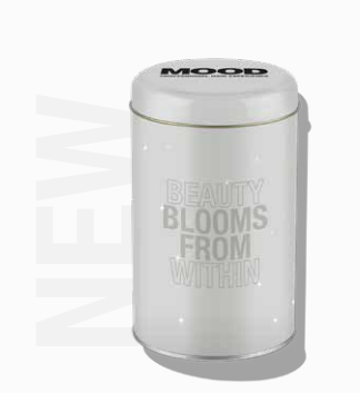 Screenshot 2025-07-23 004608